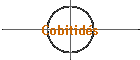 Cobitids