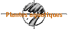 Plantes aquatiques